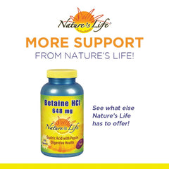 Nature's Life DGL Licorice 100 count packaging