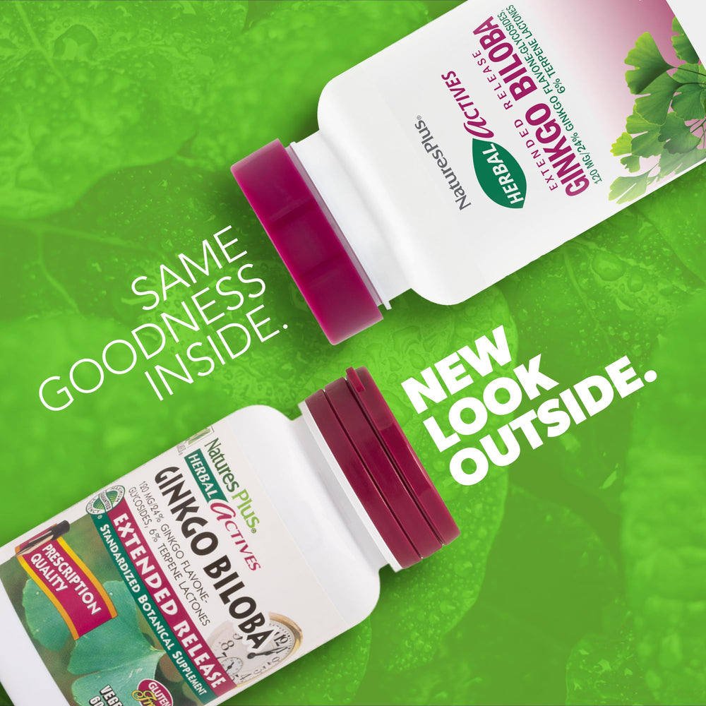 Ginkgo Biloba capsules showing 100 mg extract with standardization 24% flavone-glycosides and 6% terpene lactones