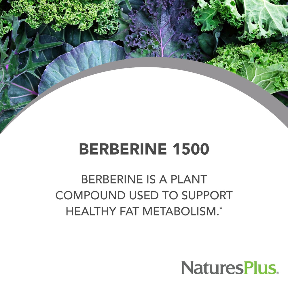 Nutrition facts panel for Berberine 1500 mg supplement