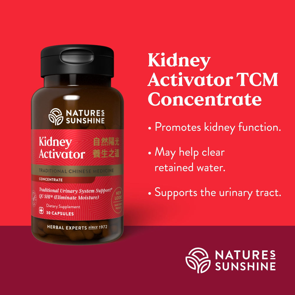 Anatomical diagram of kidneys and urinary tract
