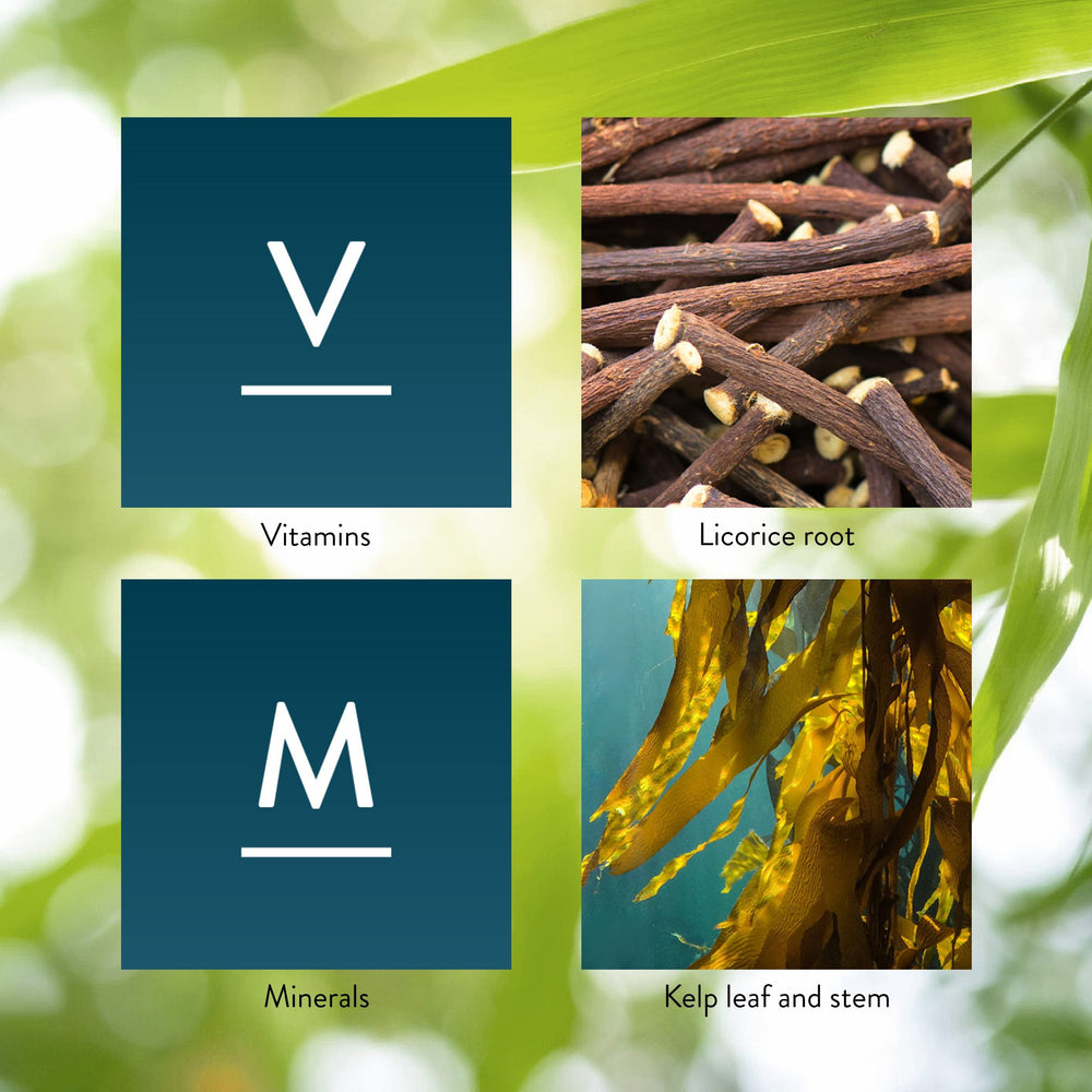 Herbal base components illustrating Nature's Sunshine formula