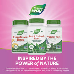 Nature's Way branding and packaging