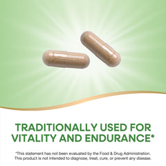 Gluten-free and vegan Cordyceps capsules