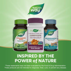 Cordyceps ingredients on bottle label
