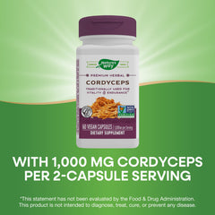 Cordyceps grown in the United States