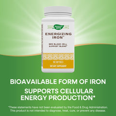 Graphic illustrating red blood cell support with iron