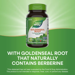 Berberine content representation