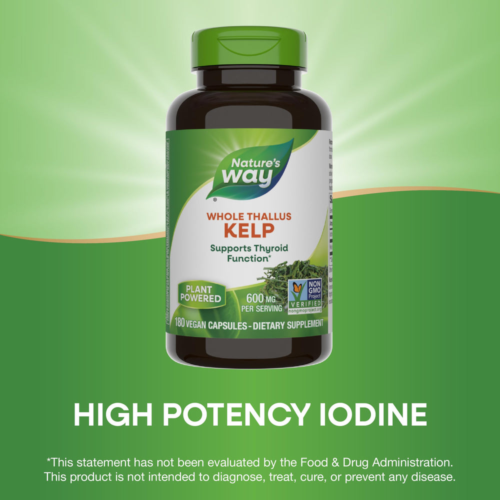Kelp sustainably sourced from Nova Scotia