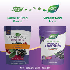 Graphic emphasizing elderberry extract and flavonoid bioactives