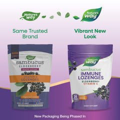Ingredient overview showing elderberry extract and vitamin C