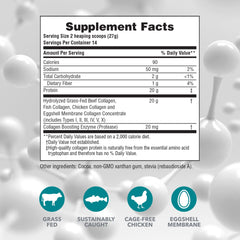 Serving scoop with chocolate collagen powder
