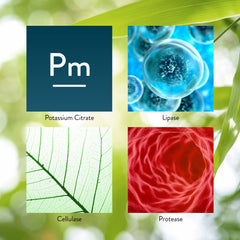 Enzyme supplement packaging close-up