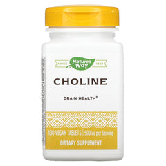 Nature's Way Choline 500 mg bottle – label close-up