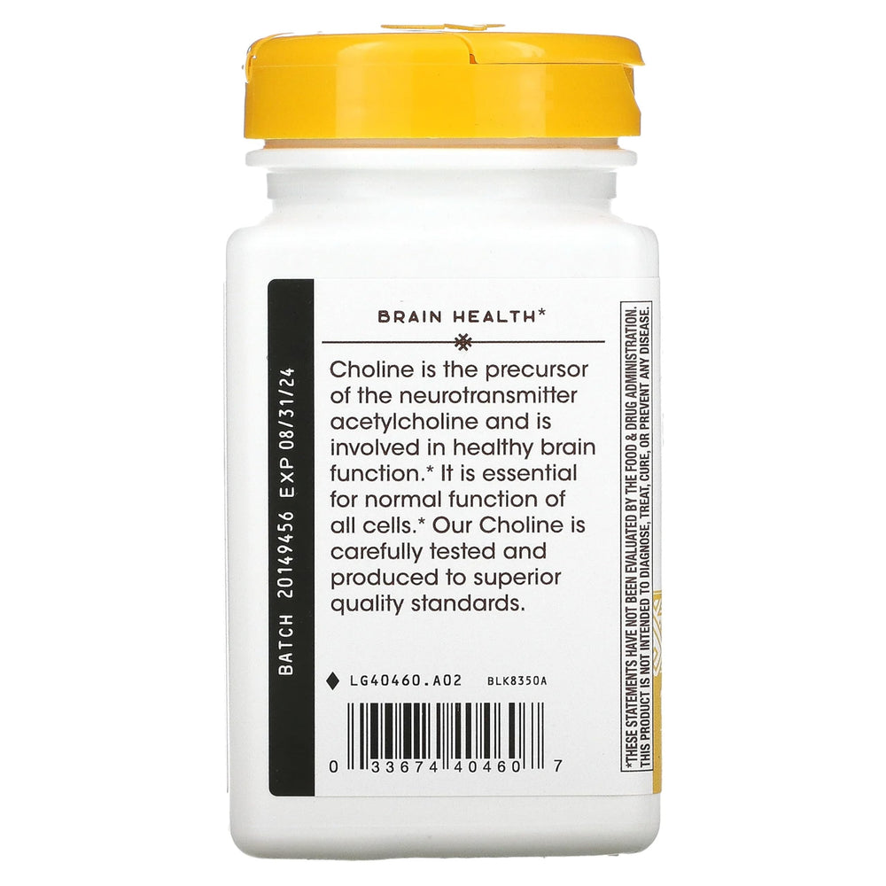 Graphic illustrating choline supports healthy brain function