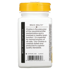 Graphic illustrating choline supports healthy brain function