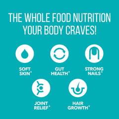 Six types of collagen highlighted in the formula