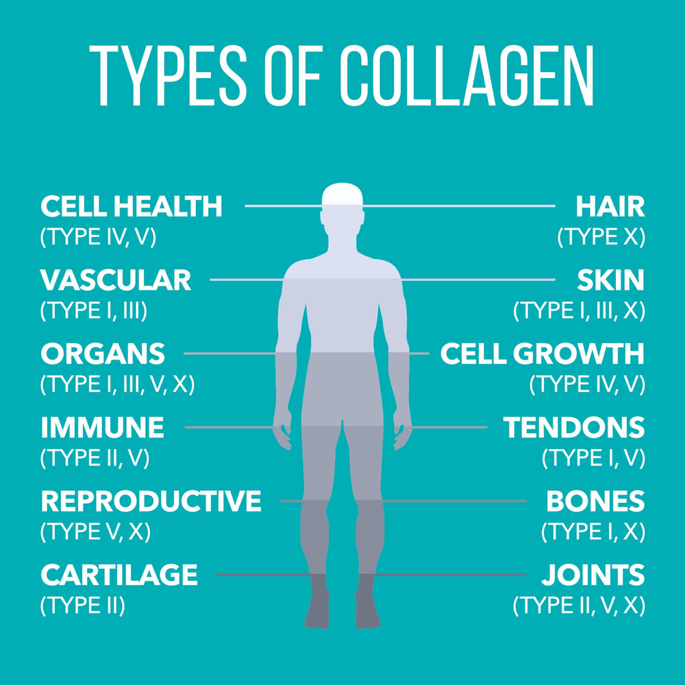 Hydrolyzed collagen powder dissolving in a beverage