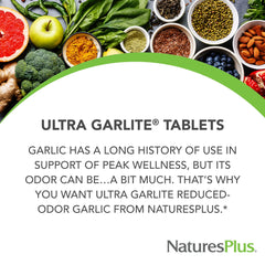 Graphic illustrating alliin/allicin potency for Ultra Garlite