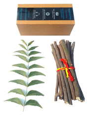 Neem Datun teeth sticks product shot