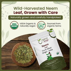Herbal tea blend featuring organic neem leaves