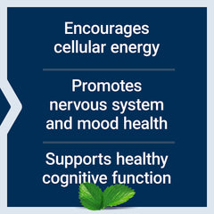 Nerve health and nervous system support illustration