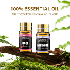 Assorted 5ml essential oil bottles from NESCCI set