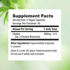 Choline Bitartrate supporting prenatal health