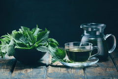 Swiss inspection and processing for nettle tea