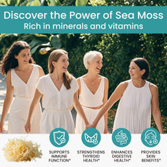 Ingredient panel highlighting sea moss, black seed oil, ashwagandha, turmeric