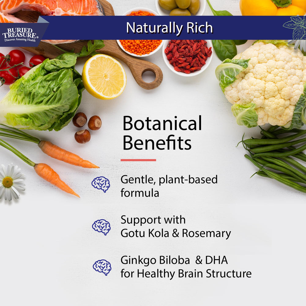 Ingredients include Ginkgo Biloba, DMAE, Gotu Kola and B Vitamins