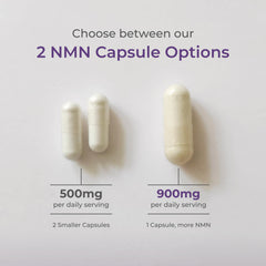 Glass bottle of Neurogan NMN capsules ready for steady energy through the day.