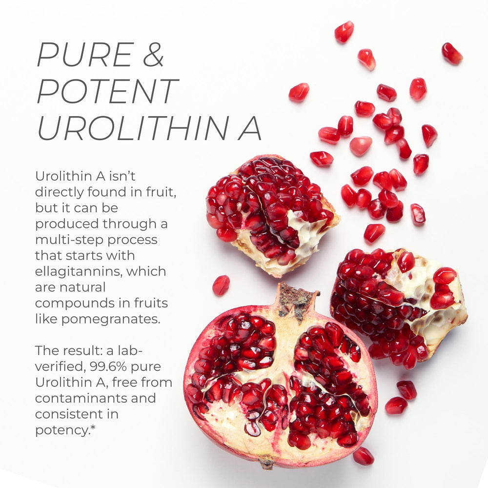 Neurogan Urolithin A lab-certified facility packaging and quality control