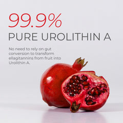 Lab purity report for Urolithin A powder