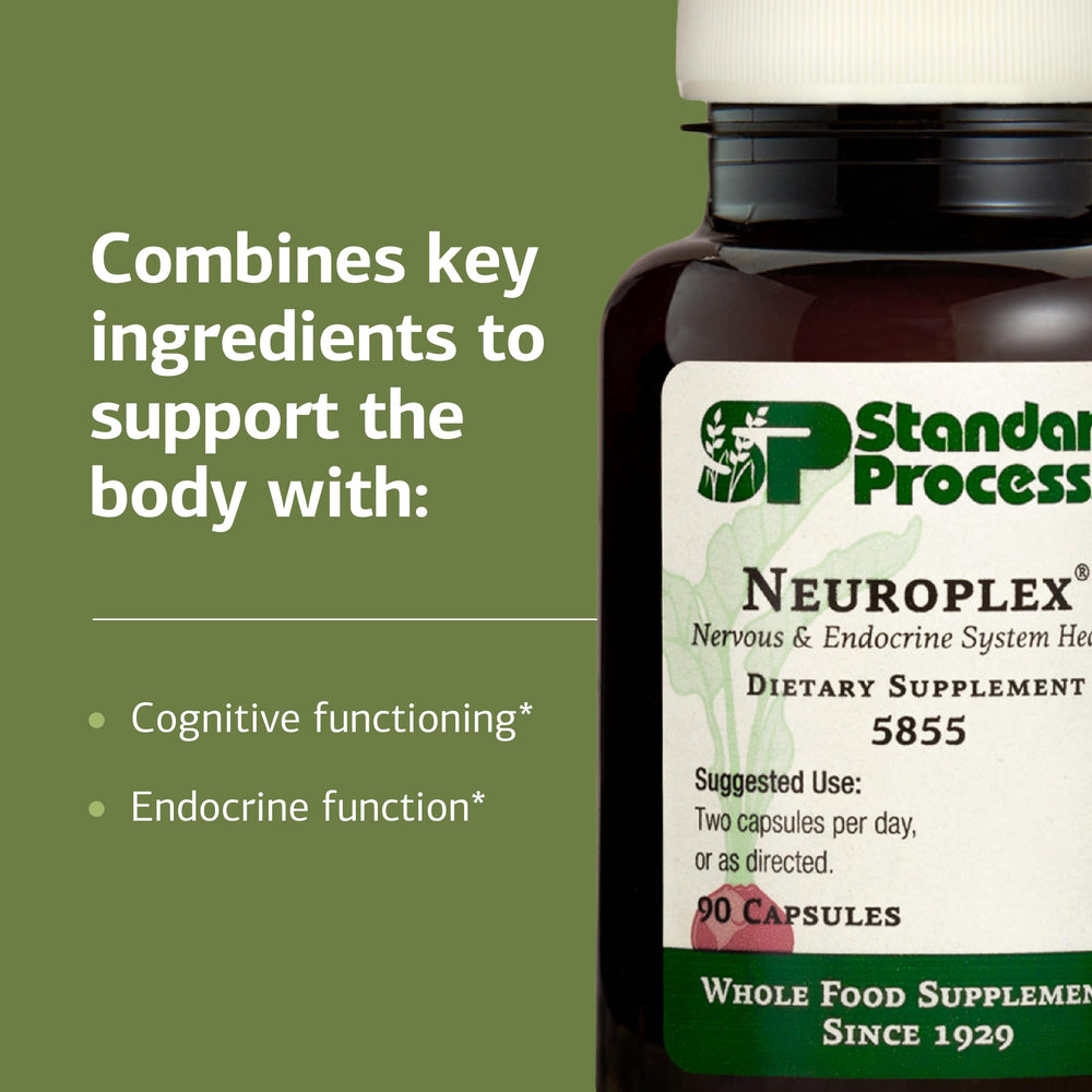 Concept image illustrating nervous and endocrine system support