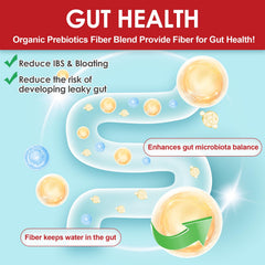 Prebiotic fiber and probiotic strains for gut health
