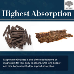 Illustration of high absorption magnesium glycinate