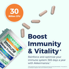 Graphic highlighting Akkermansia muciniphila and gut health