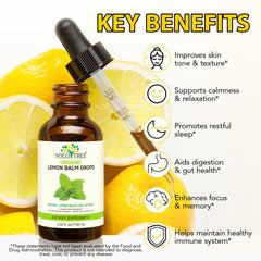 Newseel Lemon Balm Drops packaging