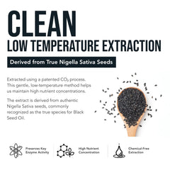 Nigella sativa seeds as the natural source