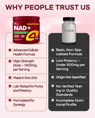 NAD+ energy and cellular support concept image