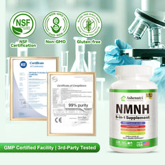 GMP-certified production facility interior