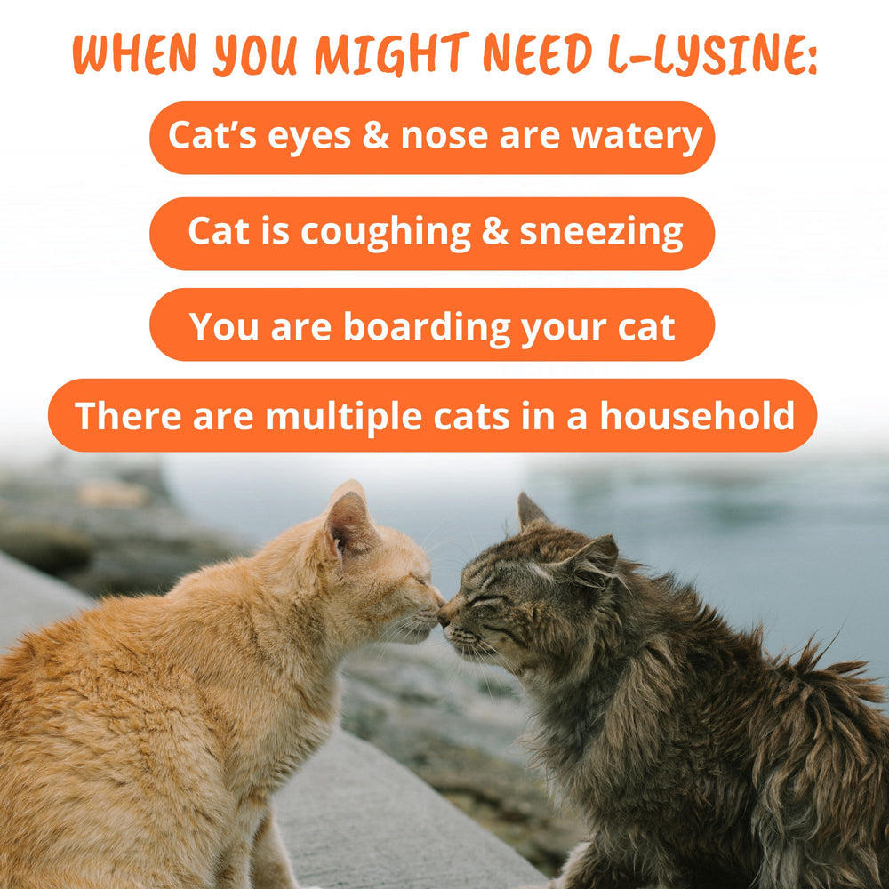 Label showing no artificial flavors or dyes in L-Lysine cat chews