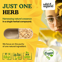 Astragalus root supplement highlighting absence of fillers