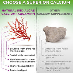 No fillers label for calcium magnesium supplement