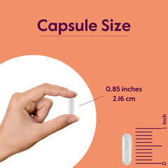 NAC 600mg capsule with no fillers