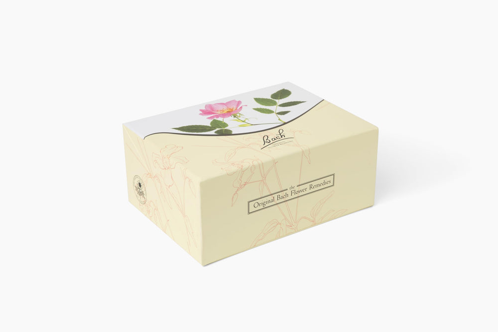 Non-alcohol formula Bach remedies boxed set packaging