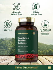 Non-GMO and gluten-free Hawthorn Berry capsules