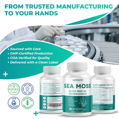 Non-GMO, Gluten-Free, Soy-Free Sea Moss supplement