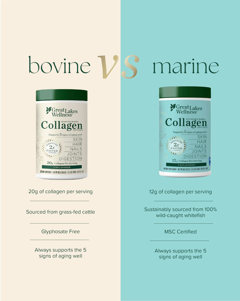 Non-GMO, kosher, pescatarian-friendly collagen powder