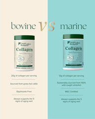 Non-GMO, kosher, pescatarian-friendly collagen powder